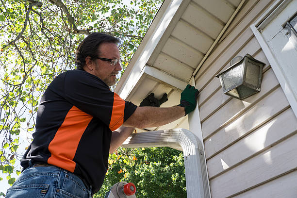 Best Carpet Removal and Disposal  in Van, TX
